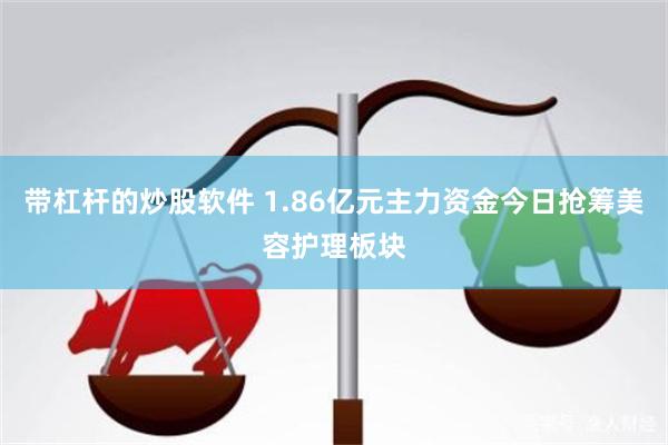 带杠杆的炒股软件 1.86亿元主力资金今日抢筹美容护理板块