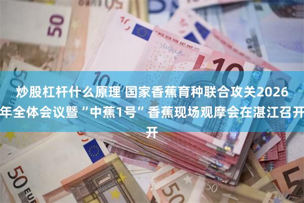 炒股杠杆什么原理 国家香蕉育种联合攻关2026年全体会议暨“中蕉1号”香蕉现场观摩会在湛江召开