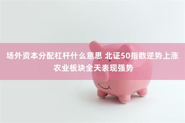 场外资本分配杠杆什么意思 北证50指数逆势上涨 农业板块全天表现强势