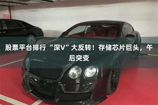 股票平台排行 “深V”大反转！存储芯片巨头，午后突变