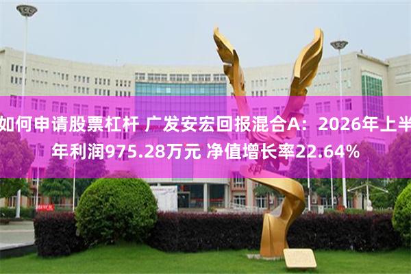 如何申请股票杠杆 广发安宏回报混合A：2026年上半年利润975.28万元 净值增长率22.64%