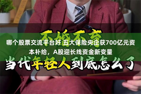 哪个股票交流平台好 五大保险央企获700亿元资本补给，A股迎长线资金新变量