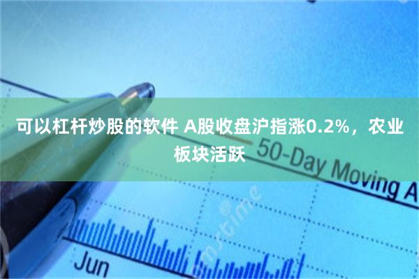 可以杠杆炒股的软件 A股收盘沪指涨0.2%,农业板块活跃