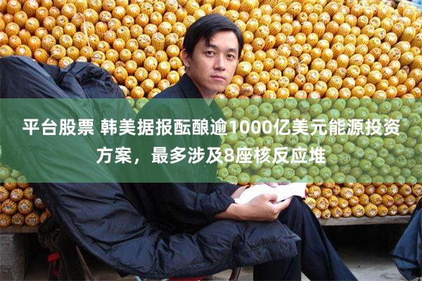 平台股票 韩美据报酝酿逾1000亿美元能源投资方案，最多涉及8座核反应堆