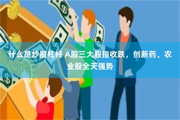 什么是炒股杠杆 A股三大股指收跌，创新药、农业股全天强势