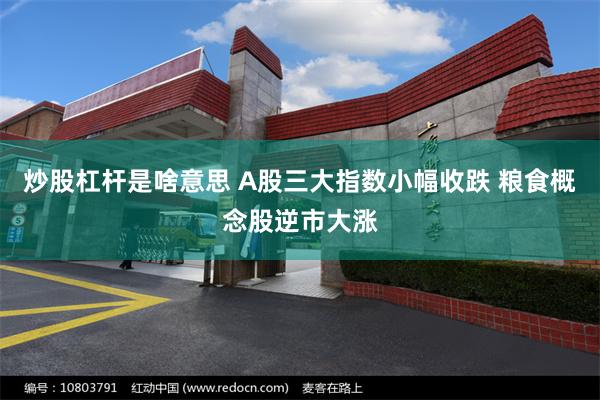 炒股杠杆是啥意思 A股三大指数小幅收跌 粮食概念股逆市大涨