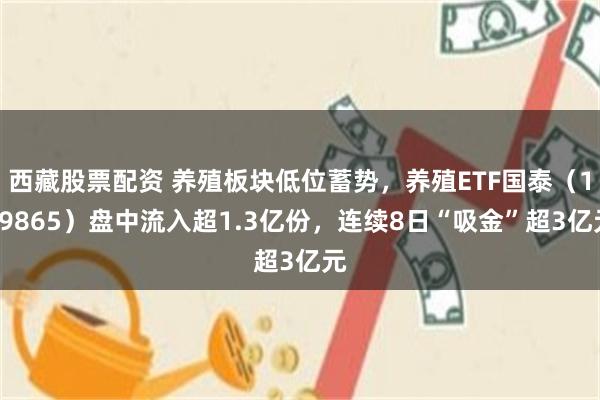 西藏股票配资 养殖板块低位蓄势，养殖ETF国泰（159865）盘中流入超1.3亿份，连续8日“吸金”超3亿元