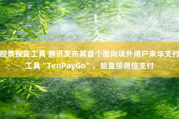 股票投资工具 腾讯发布其首个面向境外用户来华支付工具“TenPayGo”，能直接微信支付