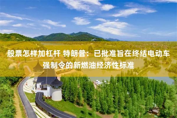股票怎样加杠杆 特朗普：已批准旨在终结电动车强制令的新燃油经济性标准