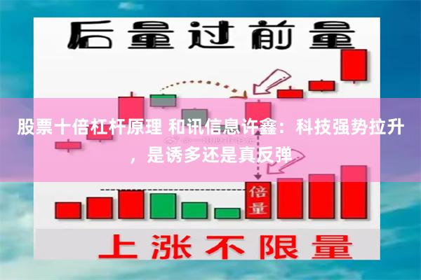 股票十倍杠杆原理 和讯信息许鑫：科技强势拉升，是诱多还是真反弹