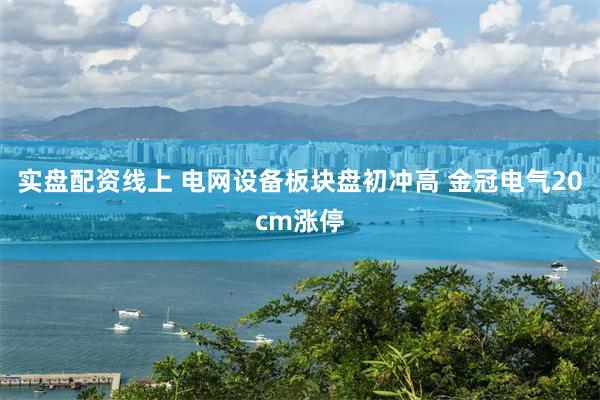 实盘配资线上 电网设备板块盘初冲高 金冠电气20cm涨停
