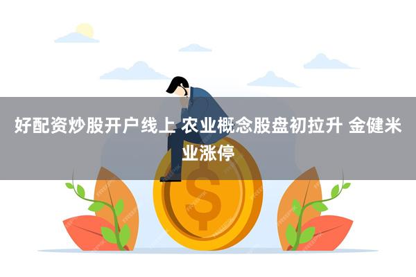 好配资炒股开户线上 农业概念股盘初拉升 金健米业涨停