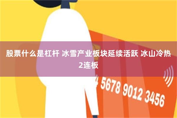 股票什么是杠杆 冰雪产业板块延续活跃 冰山冷热2连板