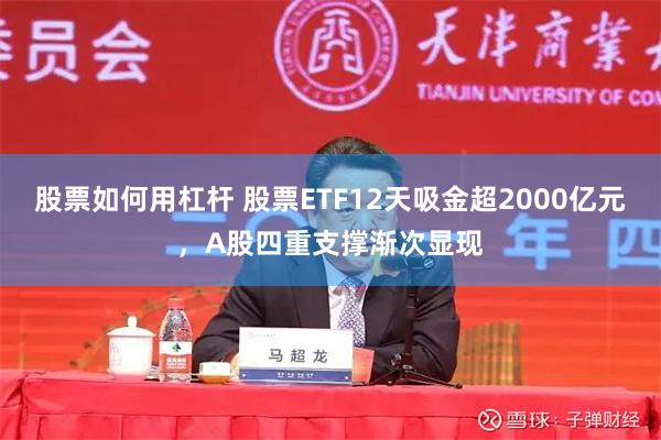 股票如何用杠杆 股票ETF12天吸金超2000亿元,A股四重支撑渐次显现
