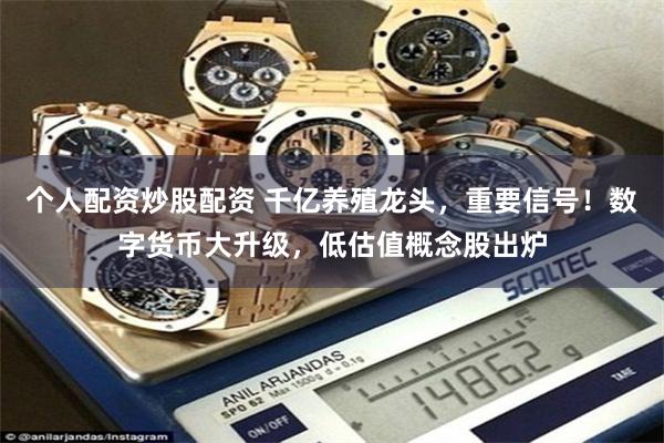 个人配资炒股配资 千亿养殖龙头，重要信号！数字货币大升级，低估值概念股出炉