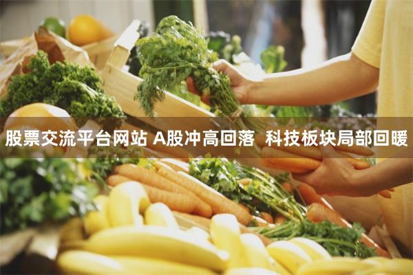 股票交流平台网站 A股冲高回落  科技板块局部回暖